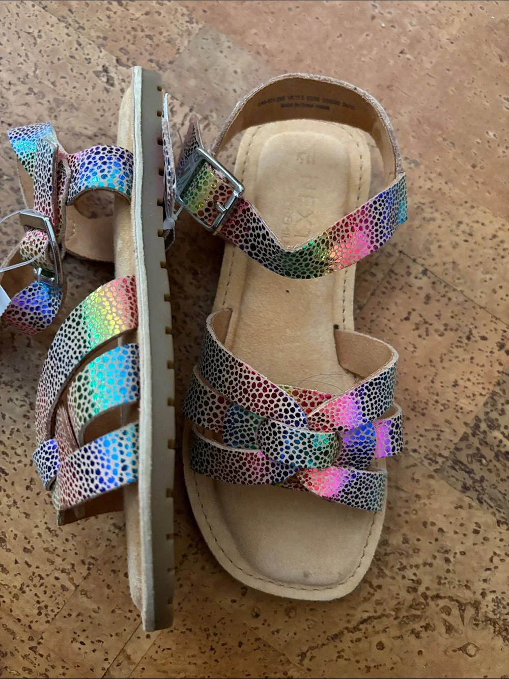 next vibrant multicolor